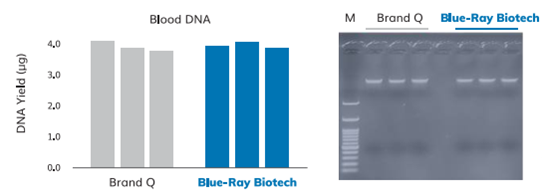 hệ thống tách chiết nucleic acid tự động TurboX 48