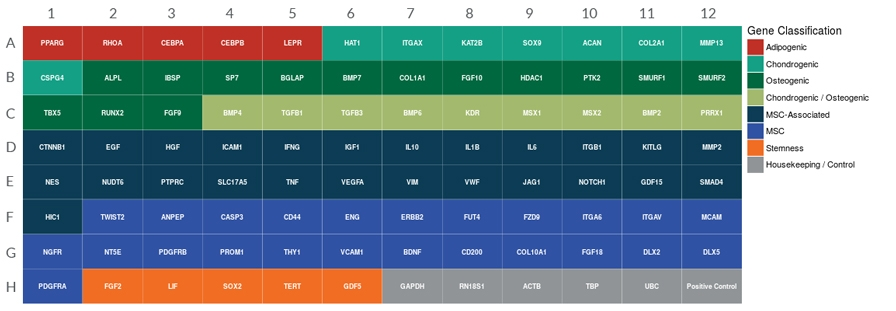 gene-classification