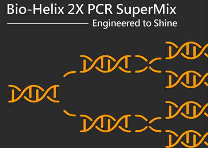 2X PCR SuperMix 