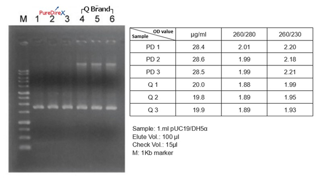 Hình ảnh so sánh kết quả tách chiết Plasmid của bộ kit PureDirreX và hãng Q 