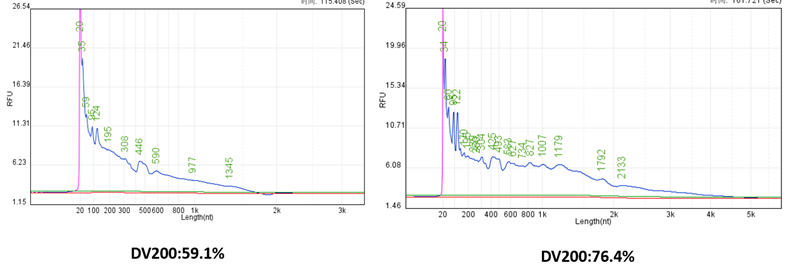 Giá trị DV200 của 2 mẫu RNA có chất lượng khác nhau