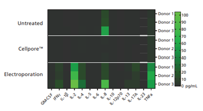 Các tế bào T chưa kích hoạt xử lý qua CellPore™ duy trì mức tiết cytokine cơ bản