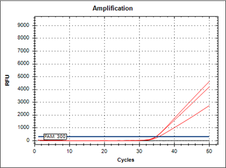 Hiệu suất của One-Step RT-qPCR với enzyme phiên mã ngược Rscxxxript 