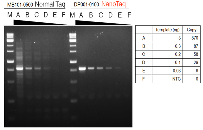 So sánh độ nhạy và khả năng khuếch đại với lượng DNA đầu vào thấp của nanoTaq