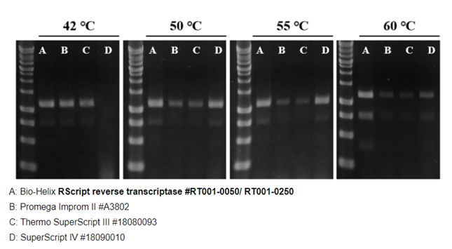 Khả năng chịu nhiệt của enzyme phiên mã ngược (Bio-Helix) với một số hãng khác