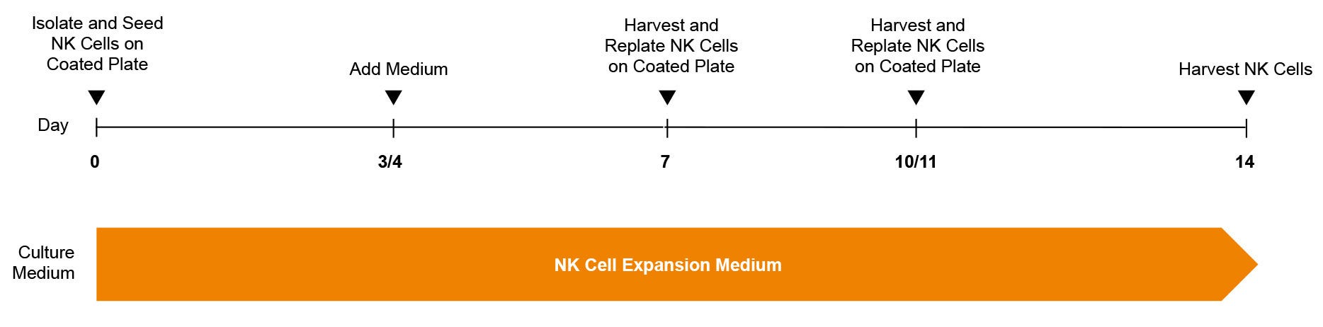 Protocol for the Expansion of Natural Killer (NK) Cells Using the ImmunoCult™ NK Cell Expansion Kit