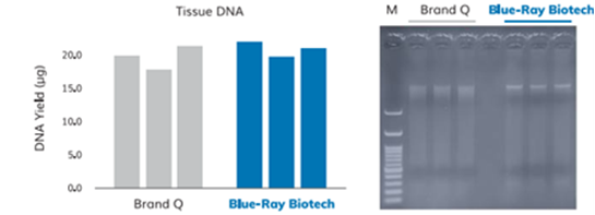 hệ thống tách chiết nucleic acid tự động TurboX 48